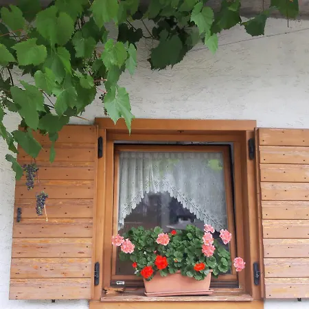 Dolomiti Da Vivere 아파트 산토스테파노디카도레