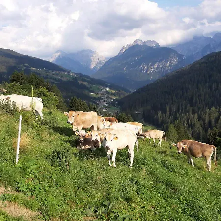 Dolomiti Da Vivere 산토스테파노디카도레