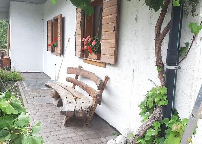 Dolomiti Da Vivere * Santo Stefano Di Cadore