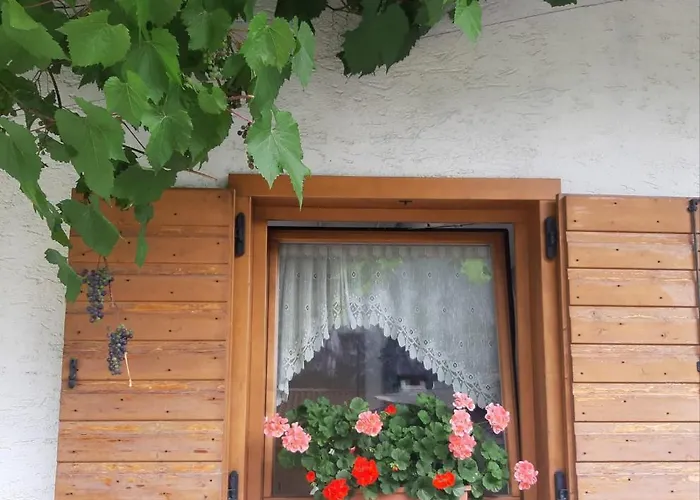 Dolomiti Da Vivere Апартаменты Санто-Стефано-ди-Кадоре