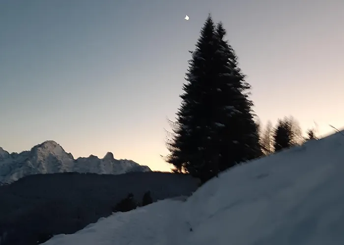 Dolomiti Da Vivere Санто-Стефано-ди-Кадоре