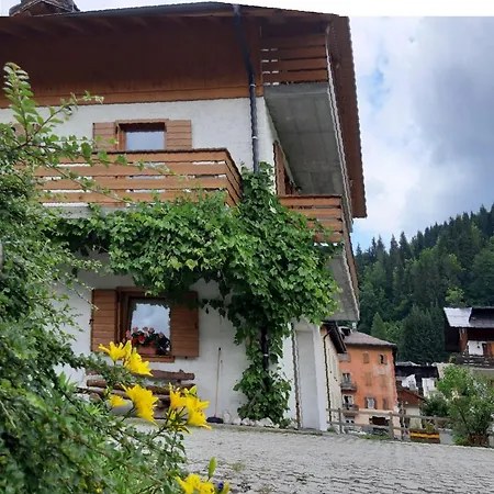 شقة Dolomiti Da Vivere سانتو ستيفانو دي كادوري