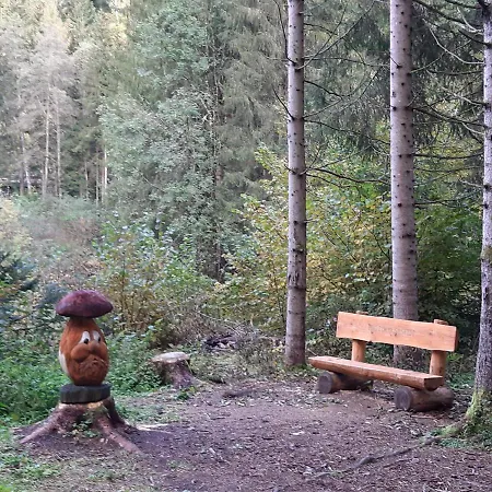 Dolomiti Da Vivere سانتو ستيفانو دي كادوري
