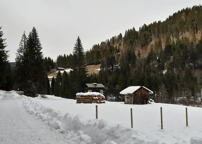 Dolomiti Da Vivere Apartment *